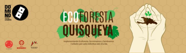 Ecoforesta